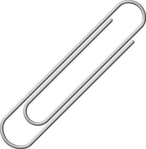 Paperclips rond 32 mm (100 stuks)