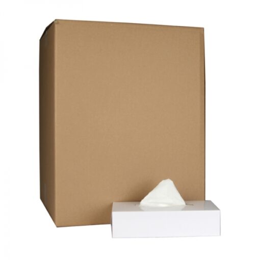 Facial Tissue cellulose 2lgs - 40 x 100 stuks