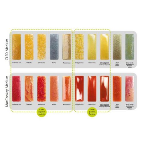 Uricult Trio dipslides - 10 stuks - Afbeelding 2
