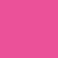 Duni Placemats papier 30x40cm fuchsia - 250 stuks